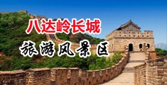 美女网站在线观看华人羞羞答答中国北京-八达岭长城旅游风景区