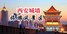国产大骚逼逼逼中国陕西-西安城墙旅游风景区